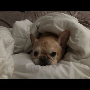 Meet your Posher, Alexandra